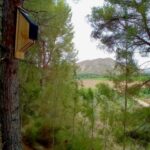 Découvrez les excellents résultats du programme Fluviatilis dans le domaine de la lutte biologique