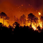 Feux de forêt stabilisés à Talaván (Cáceres) et Víznar (Grenade)