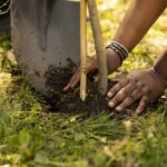 Qu'est-ce que l'ONG Ecologistas en Acción et quels sont ses principaux objectifs ?