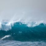 Qu’est-ce que la circulation thermohaline ? : le facteur numéro 1 dans l’éventuel effondrement de l’AMOC