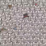 Illusion d’Optique pour Tester votre QI : Pouvez-vous Trouver le Chat Caché parmi les Raton-Laveurs en 15 Secondes ?