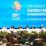 COP16 de la Biodiversité, SEO/BirdLife seront présents