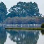 L'Andalousie a exécuté 25% de l'accord de Doñana