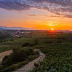 La Rioja : Chaire de Paysage, Biodiversité et Ressources en Eau de l'UR