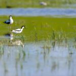 200 millions pour le réseau «Natura 2000» qui abrite Euskadi