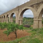 Projet Spartaria (Murcie) : des masses forestières résilientes aux changements environnementaux