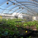 20e anniversaire du «Center for Forest Research and Experimentation (CIEF)», communauté de Valenciana