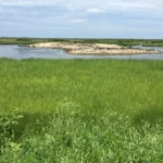 Resurrect une île en vaut-elle la peine?