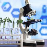 Une étude sur le rôle des protéines BDH dans la croissance des plantes