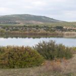 Andalousie: les informations sur les 25 «zones humides» sont mises à jour dans la liste «Ramsar»