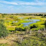 Doñana: 27 propositions reçues par Miteco recherchent leur amélioration environnementale