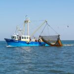 L'Espagne n'a pas de plan ni prévu, pour arrêter la pêche à la traînée dans les zones marines protégées