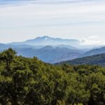 L'andalousie favorise la certification forestière et la durabilité de ses montagnes