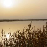 Objectif: récupérer les marais d'Odiel et les préserver à long terme