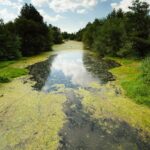 Une «demande» de la communauté rurale à la Xunta de Galice face à la pollution du bétail
