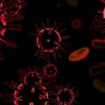 Virus H5N1: la «pandémie animale» de la grippe aviaire qui balaie tout et pourrait faire des humains