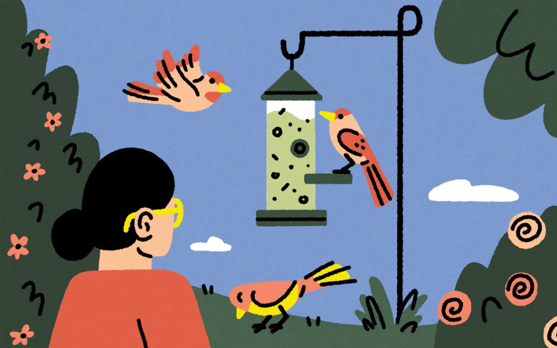   L'illustration montre l'arrière d'une femme tenant une tasse et regardant une mangeoire d'oiseaux avec trois oiseaux.