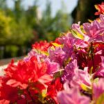 À la foire RHS Chelsea Flower Show, l'avance intelligente sera présentée
