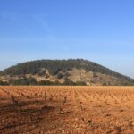 Dans cette vidéo très intéressante «  Living Drying '', vous verrez les emplois pour récupérer la biodiversité dans les champs de vigne et de céréales