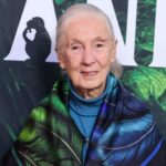Dr Jane Goodall, joyeux anniversaire