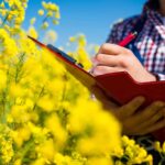 Fondation Caixa Enginyers et «Alliance» CRER pour les soins de «nature»