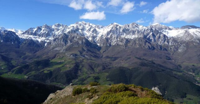 biodiversidad Picos Europa Léon