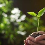 Journée internationale de la mère de la Terre 2025
