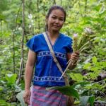 Karen Tribe (Thaïlande): Inquiétude concernant la construction possible d'un barrage, pour eux, le premier et le premier est la «nature»