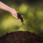 L'Europe accepte une nouvelle loi de grande transcendance: surveiller et restaurer la santé du sol nécessaire