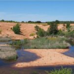 La Cantera de la Chanta: Un ancien concasseur en calcaire, à Madrid, est devenu une zone humide, une «  oasis '' pour de nombreuses espèces