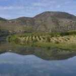 La confédération hydrographique de Duero veut connaître l'état écologique de ses rivières