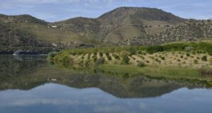 Confederación Hidrográfica Duero estado ecológico ríos