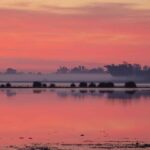 La côte de Huelva favorise la protection de sa biodiversité