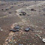 La plage la plus contaminée par les «microplastiques» de la Catalogne ne vous surprendra pas