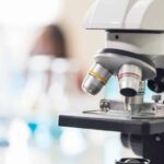 Le «Centre de recherche andalou de Zoonosis» commence, unique en Espagne
