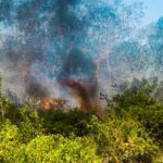 Le Generalitat Valenciana s'engage dans un projet qui surveille l'humidité des montagnes contre les incendies de forêt
