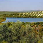Le Zóñar Lagoon: Projet innovant pour connaître la «biodiversité» cachée sous les eaux de la zone humide