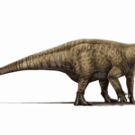 Le dinosaure «Iguanodon» exposé à Teruel