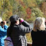 Observez les oiseaux au printemps: ce sont les meilleurs endroits pour le faire