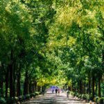 Outil numérique pour valoriser le «parc naturel de l'Andalousie» distinctif