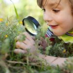 Qu'est-ce que «l'observologie» et pourquoi les enfants tombent-ils amoureux de la nature?