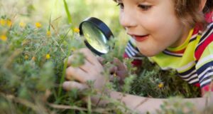 Observología niños naturaleza