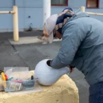 Rehoming Martins pourpre de Seattle