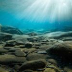 Sédiments marins, réflexion et témoin de l'histoire de l'humanité