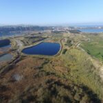 Solvay Quarry in Cuchía (Cantabria): promouvoir la récupération de la biodiversité