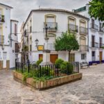 Ubrique (Sierra de Cádiz) «Démante» l'arbre urbain