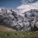 Une étude confirme les effets des activités humaines sur la biodiversité végétale