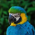 Monde de Loro Day 2025
