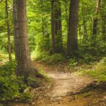 Assemblée annuelle de Selvicultors: Recherche de l'implication des propriétaires privés pour la gestion des forêts durables