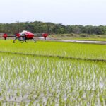 Biodiverse European Initiative +: 5 Technologies innovantes au service de la biodiversité